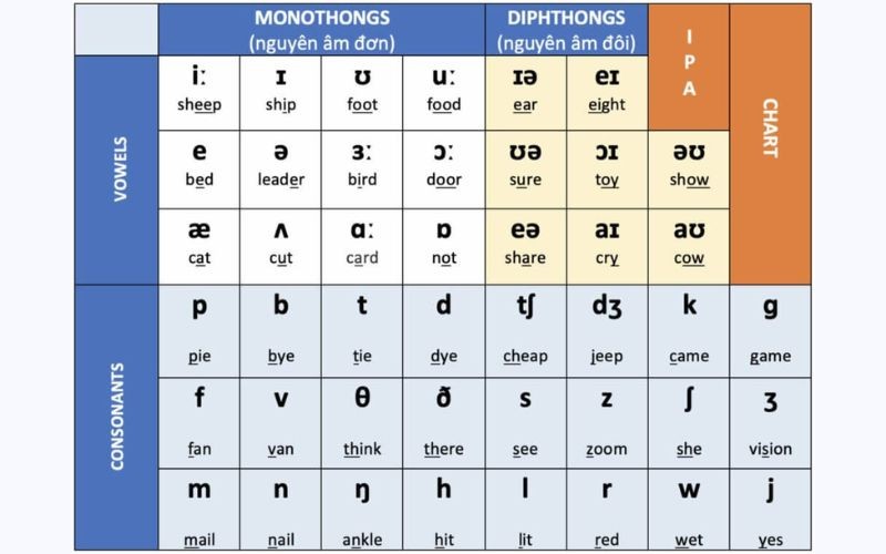 Lộ trình học tiếng Anh giao tiếp nên bắt đầu từ học phát âm theo bảng phiên âm IPA