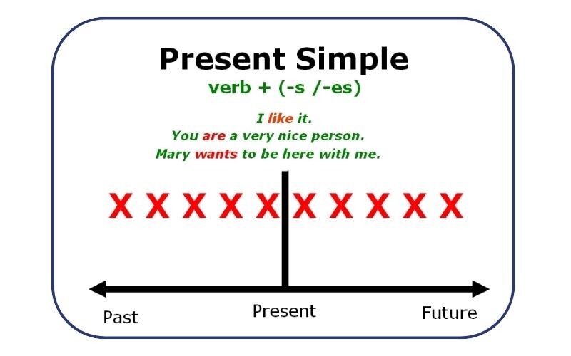Present Simple diễn tả sự việc, hành động được tổ chức và diễn ra một cách thường xuyên