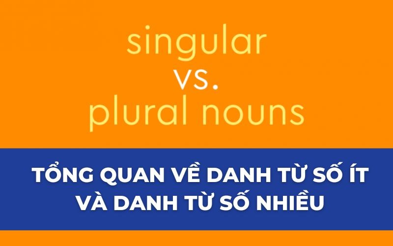 Tổng quan về danh từ số ít và danh từ số nhiều trong tiếng Anh