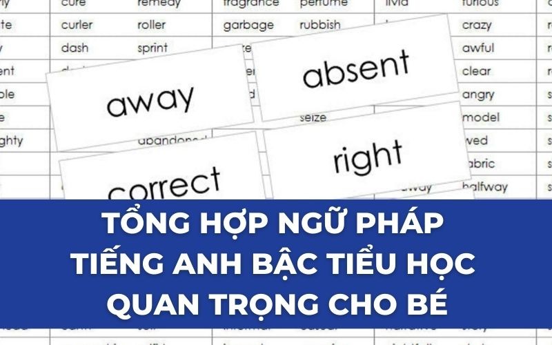 Tổng hợp ngữ pháp tiếng Anh bậc Tiểu học quan trọng cho bé